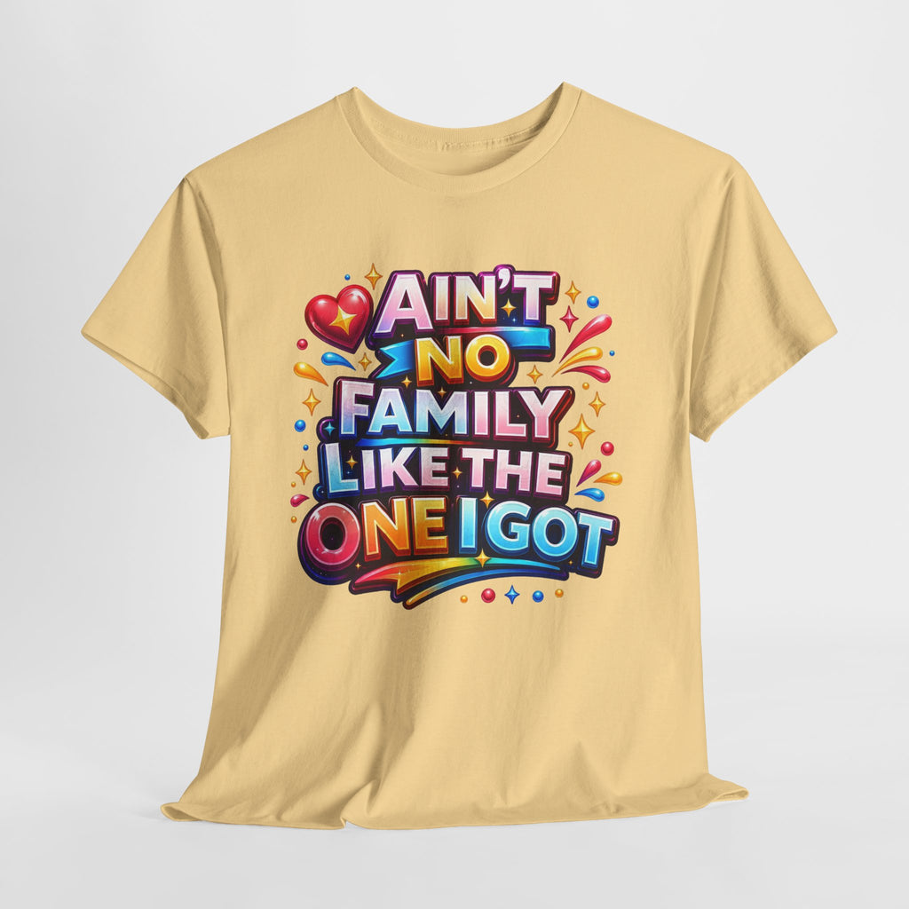 Ain't No Family Like The One I Got Cotton T-Shirt