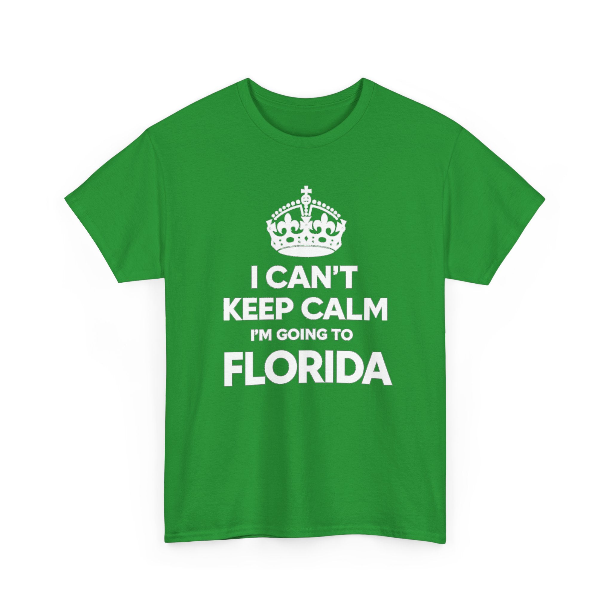 I Can't Keep Calm — Florida Vacation T-Shirt