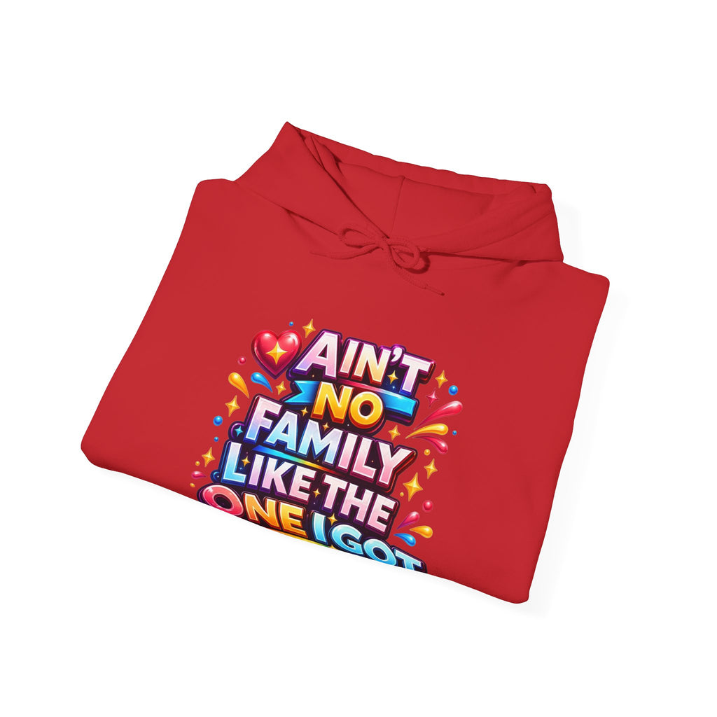 Ain't No Family Like The One I Got Hoodie