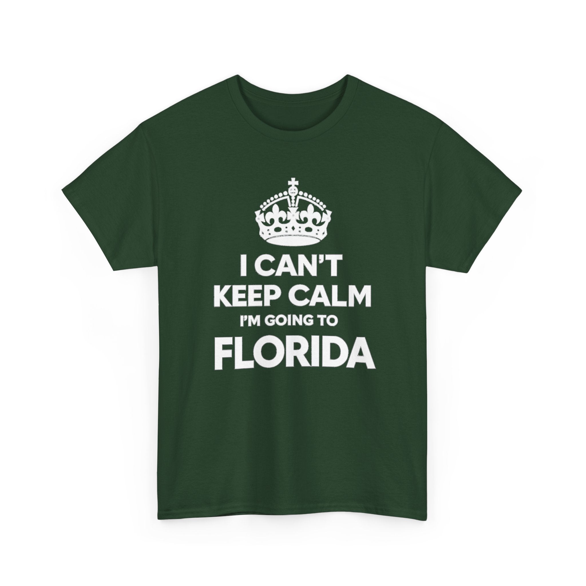 I Can't Keep Calm — Florida Vacation T-Shirt
