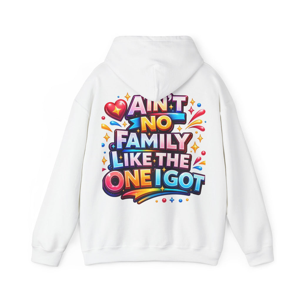 Ain't No Family Like The One I Got Hoodie
