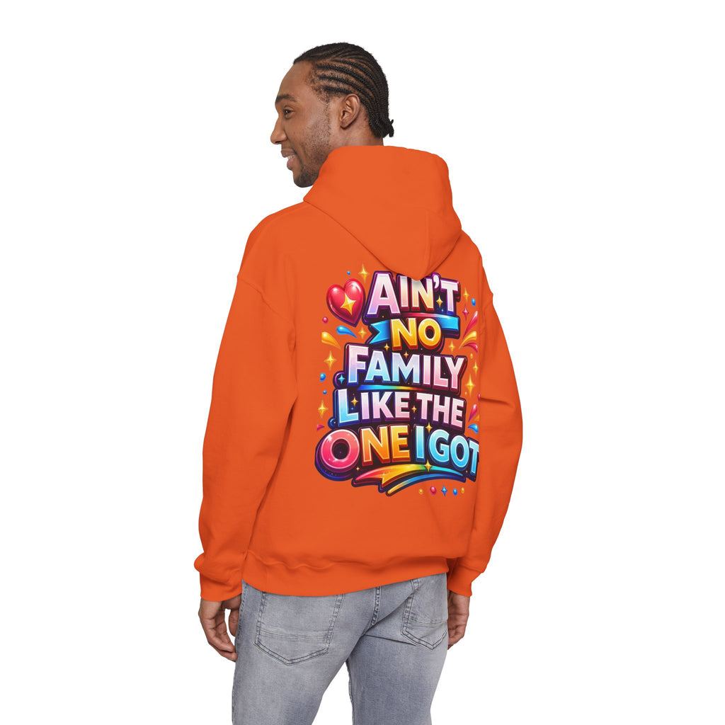 Ain't No Family Like The One I Got Hoodie
