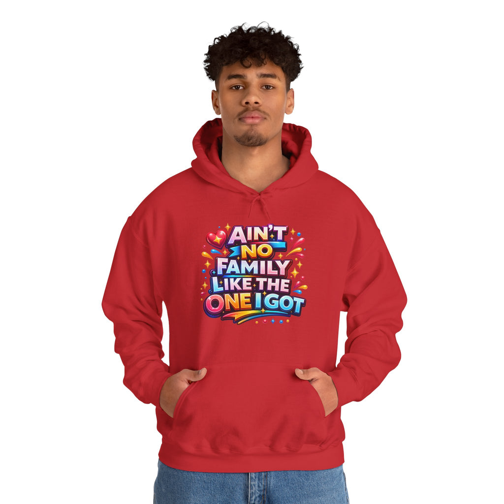 Ain't No Family Like The One I Got Hoodie