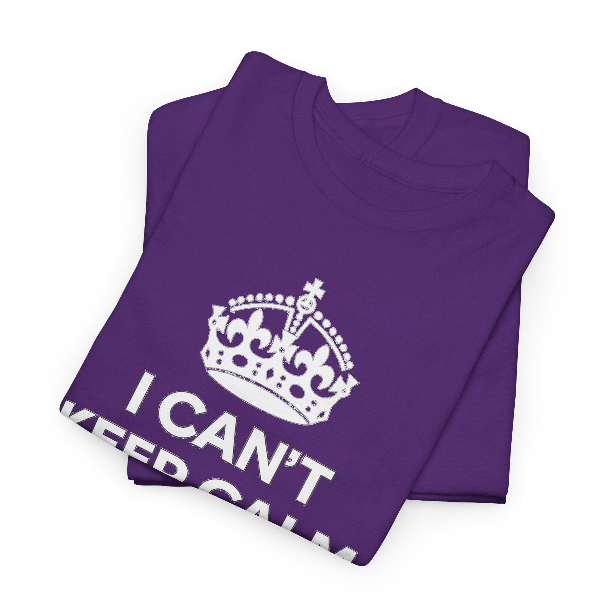 I Can't Keep Calm I'm Going to Disney World T-Shirt