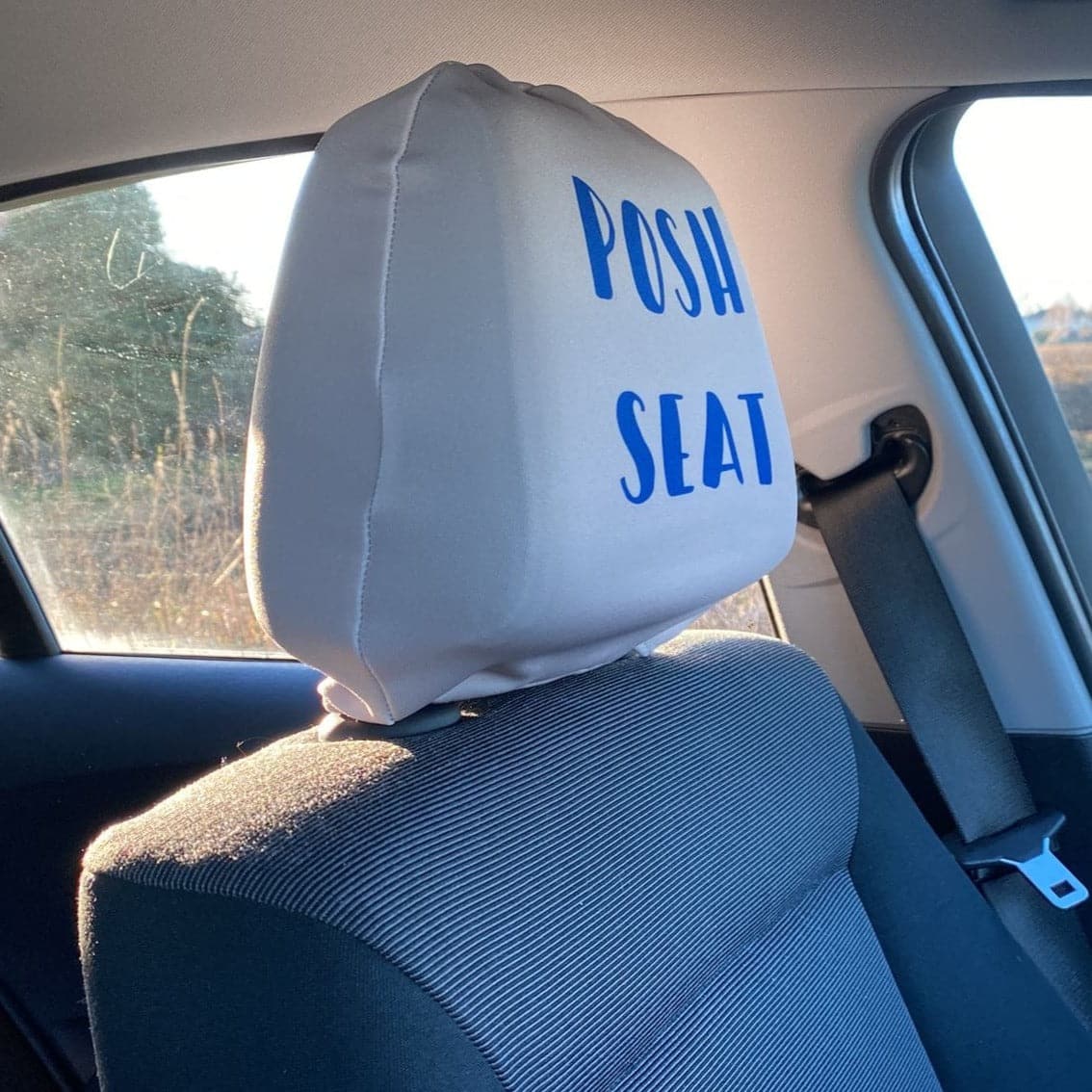 England Lion - Pack of 2 Car Seat Headrest Covers