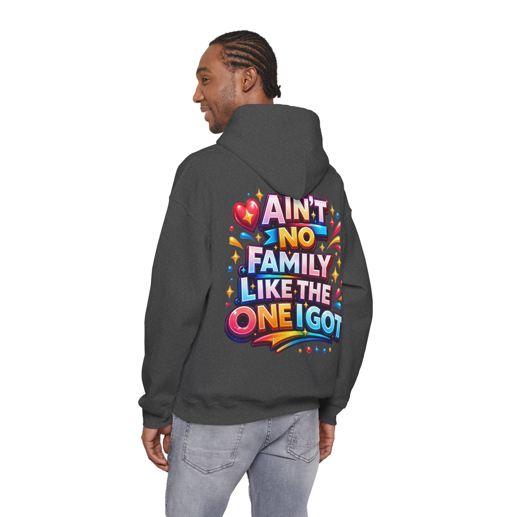 Ain't No Family Like The One I Got Hoodie