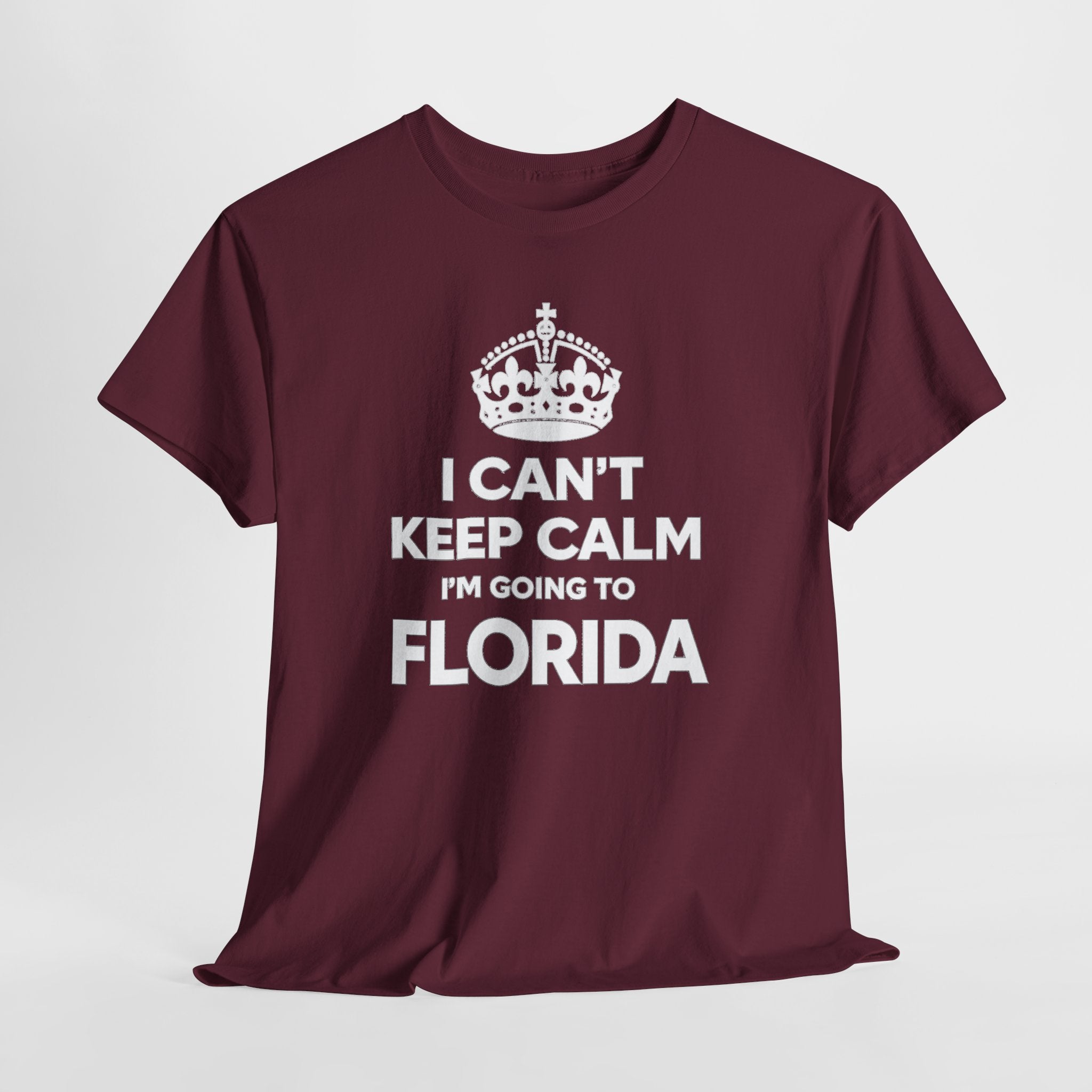 I Can't Keep Calm — Florida Vacation T-Shirt