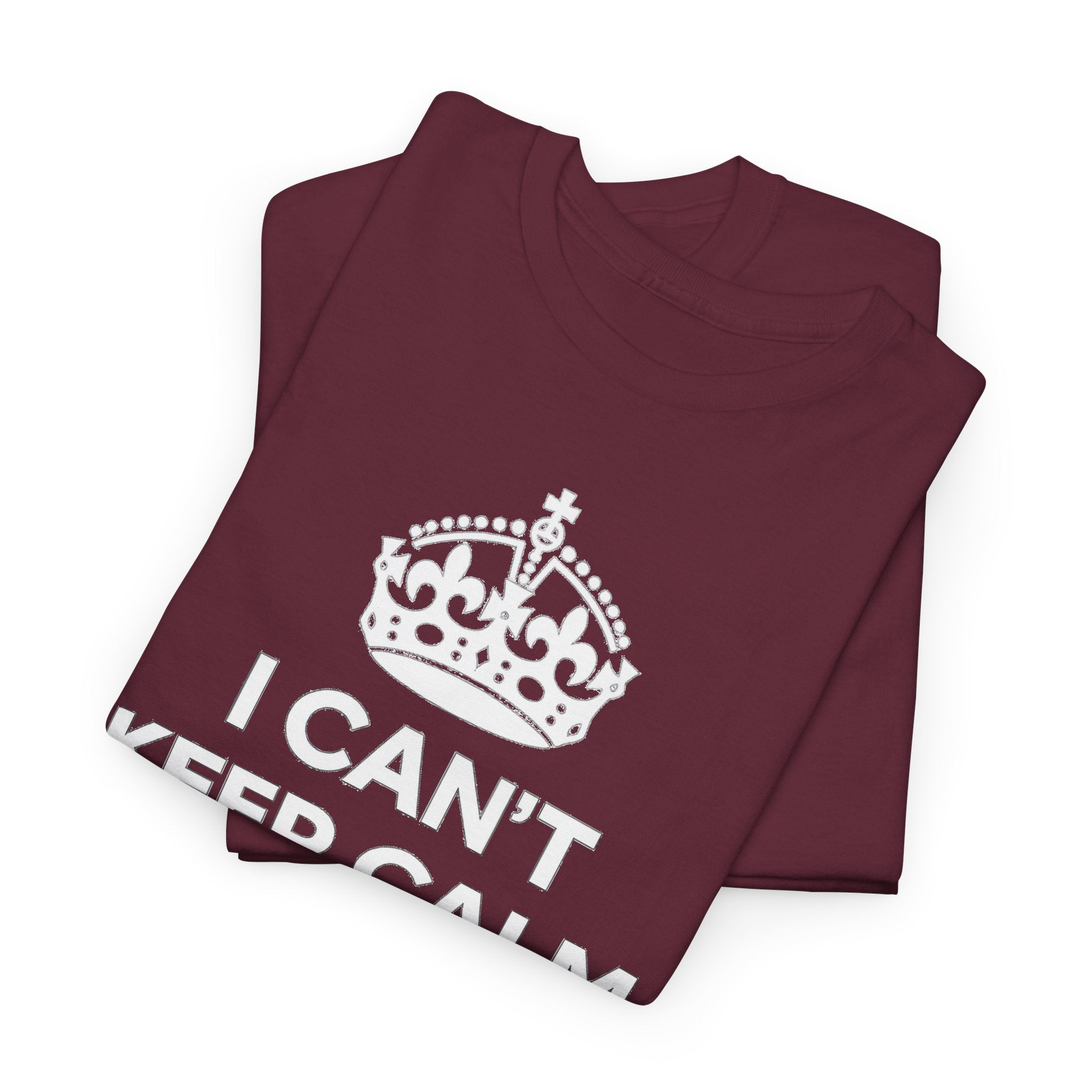 I Can't Keep Calm I'm Going To IDrive T-Shirt