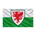 Welsh Dragon Shield Flag — Double-Sided Decorative Flag