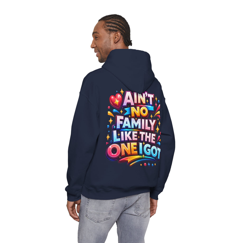 Ain't No Family Like The One I Got Hoodie