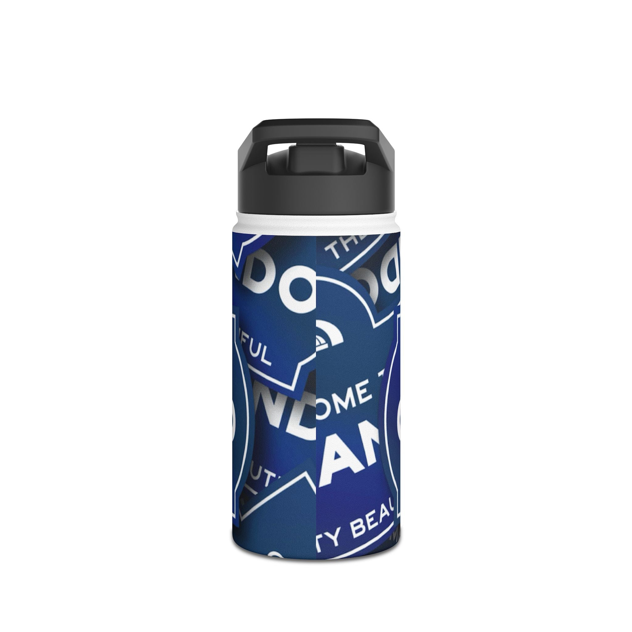 Orlando Water Bottle — "Welcome to Orlando" Stainless Steel Travel Bottle