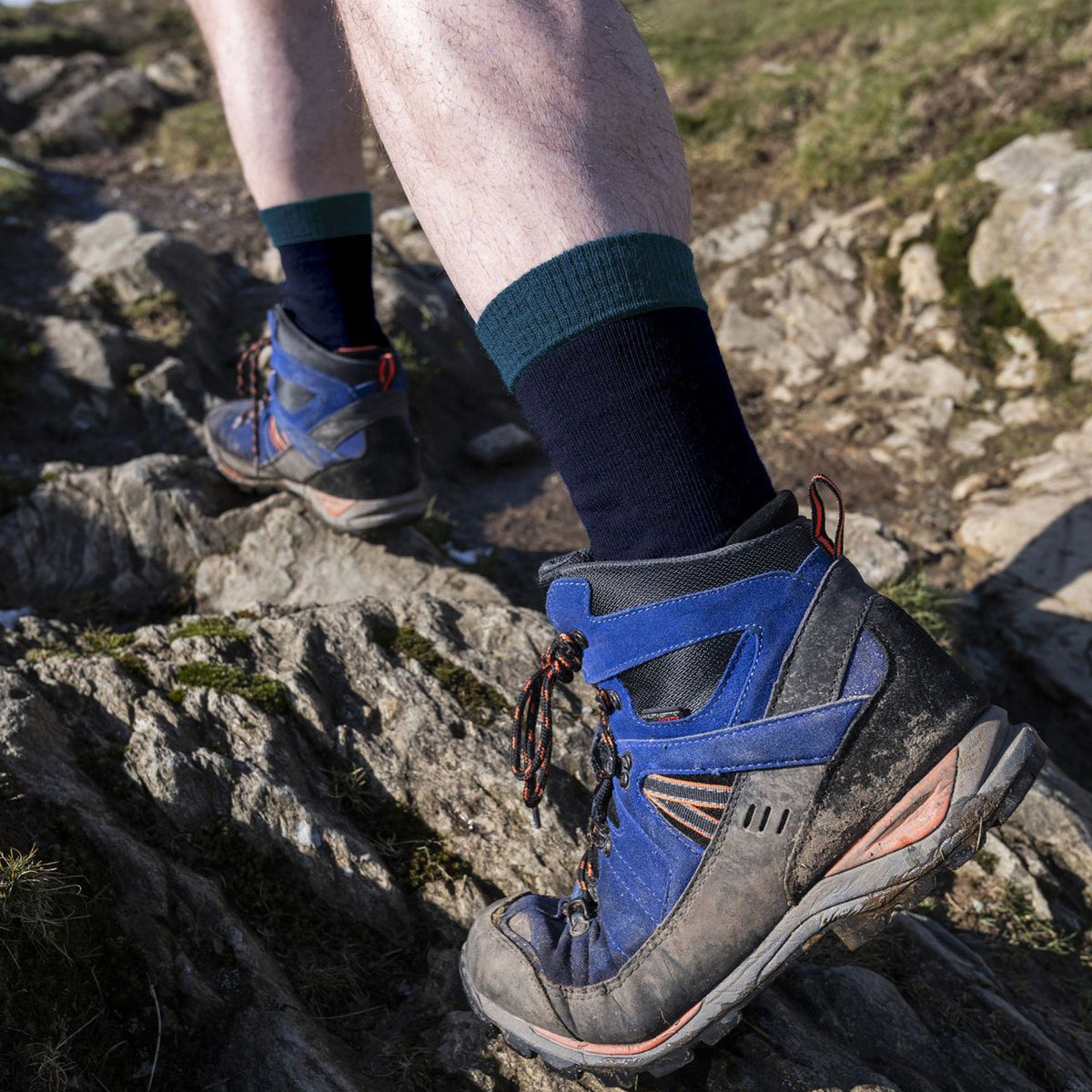 1 Pack Mens Explorer Heavyweight Merino Wool Boot Socks