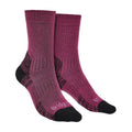 1 Pack Ladies Hiking Lightweight Merino Wool Boot Socks