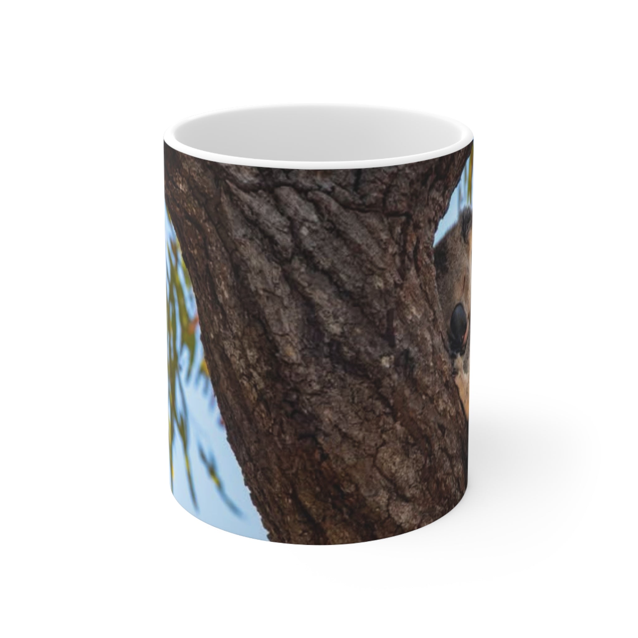 Koala in Tree Ceramic Coffee Mug — 11oz & 15oz Cute Wildlife Photo Mug