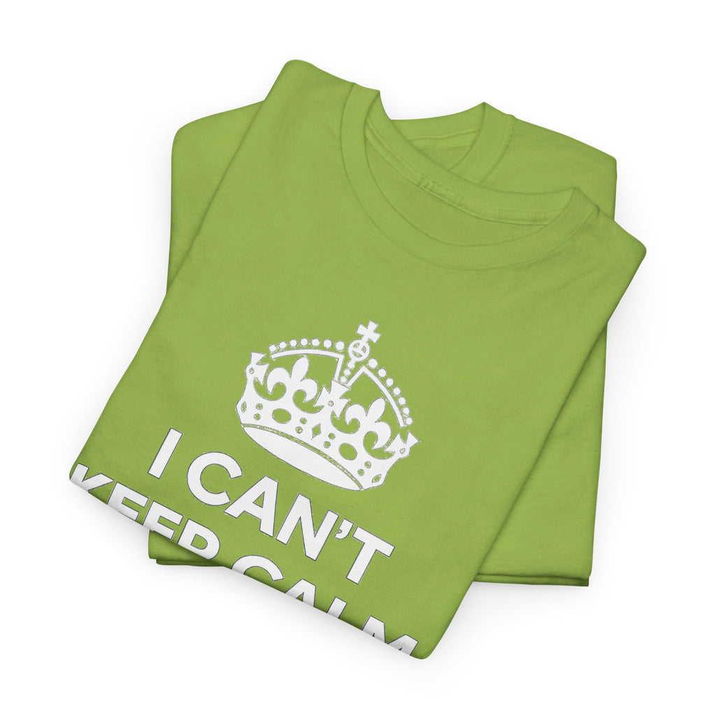 I Can't Keep Calm I'm Going To IDrive T-Shirt
