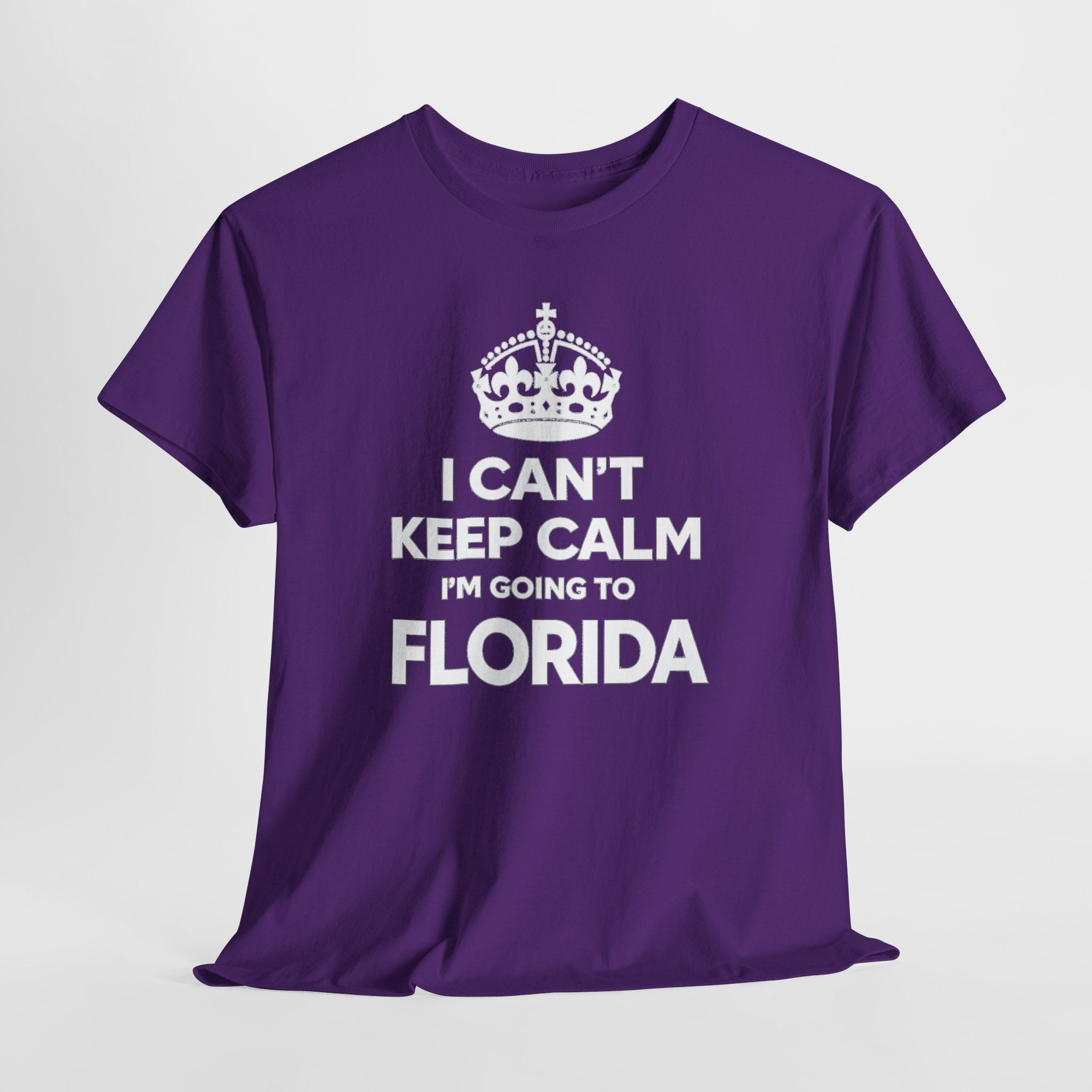I Can't Keep Calm — Florida Vacation T-Shirt