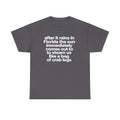 T-Shirt — "after it rains in Florida the sun immediately comes out to steam us like a bag of crab legs" Funny Florida Weather Tee