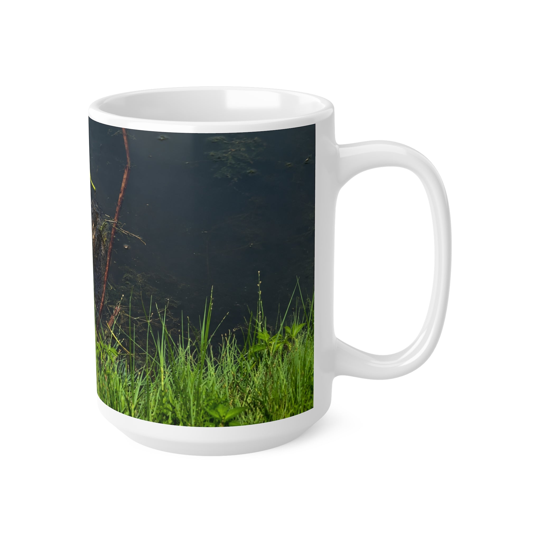 Florida Alligator Stare Ceramic Mug — 11oz & 15oz Coffee Cup with Wildlife Photography
