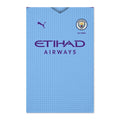 Manchester City Etihad Airways Football Tea Towel
