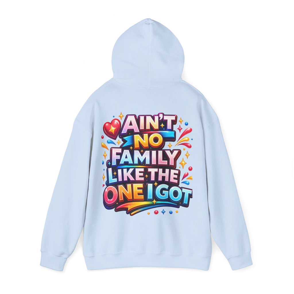 Ain't No Family Like The One I Got Hoodie