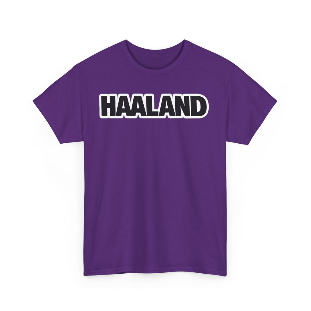 Haaland Manchester City Graphic Tee — Football Fan Shirt