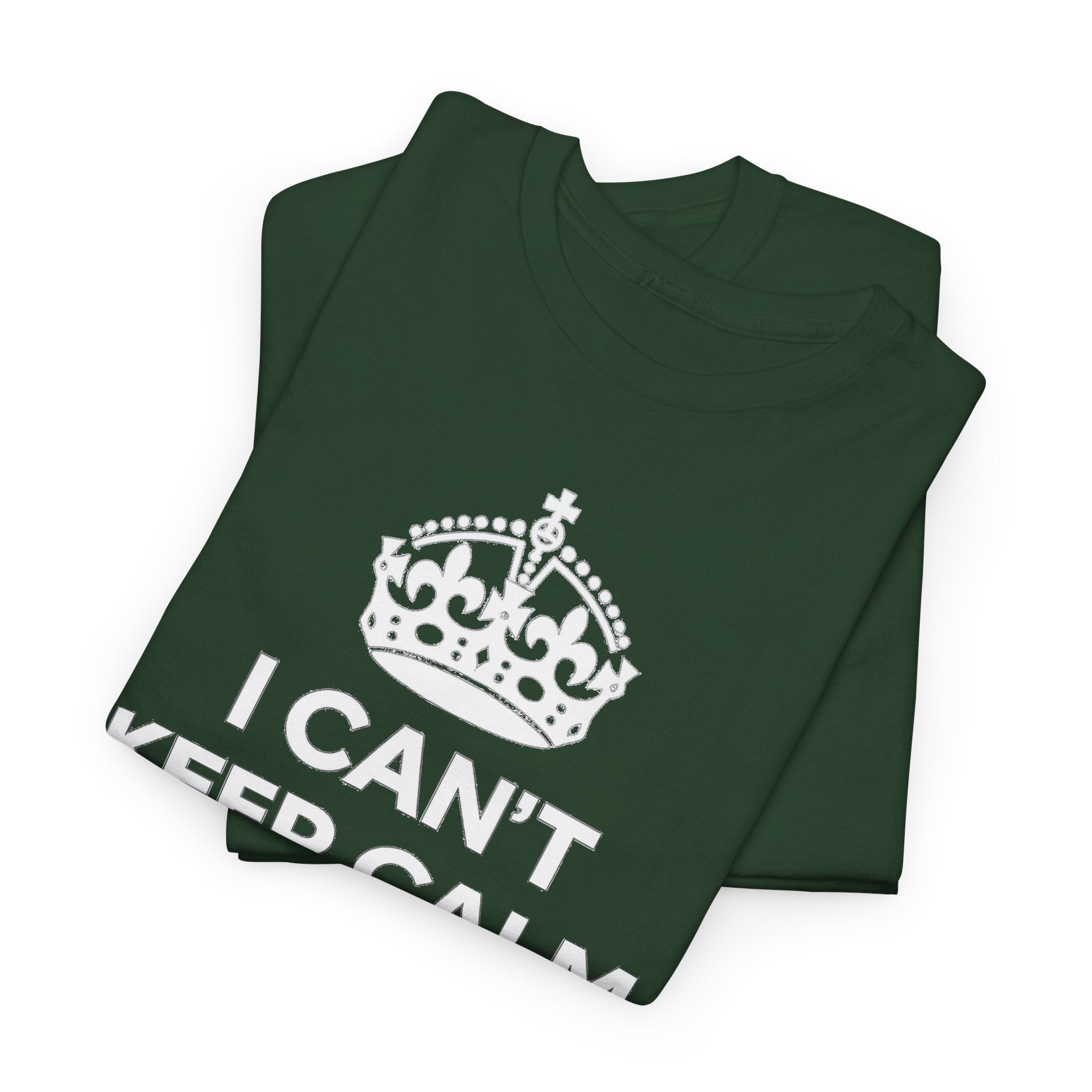 I Can't Keep Calm I'm Going To IDrive T-Shirt