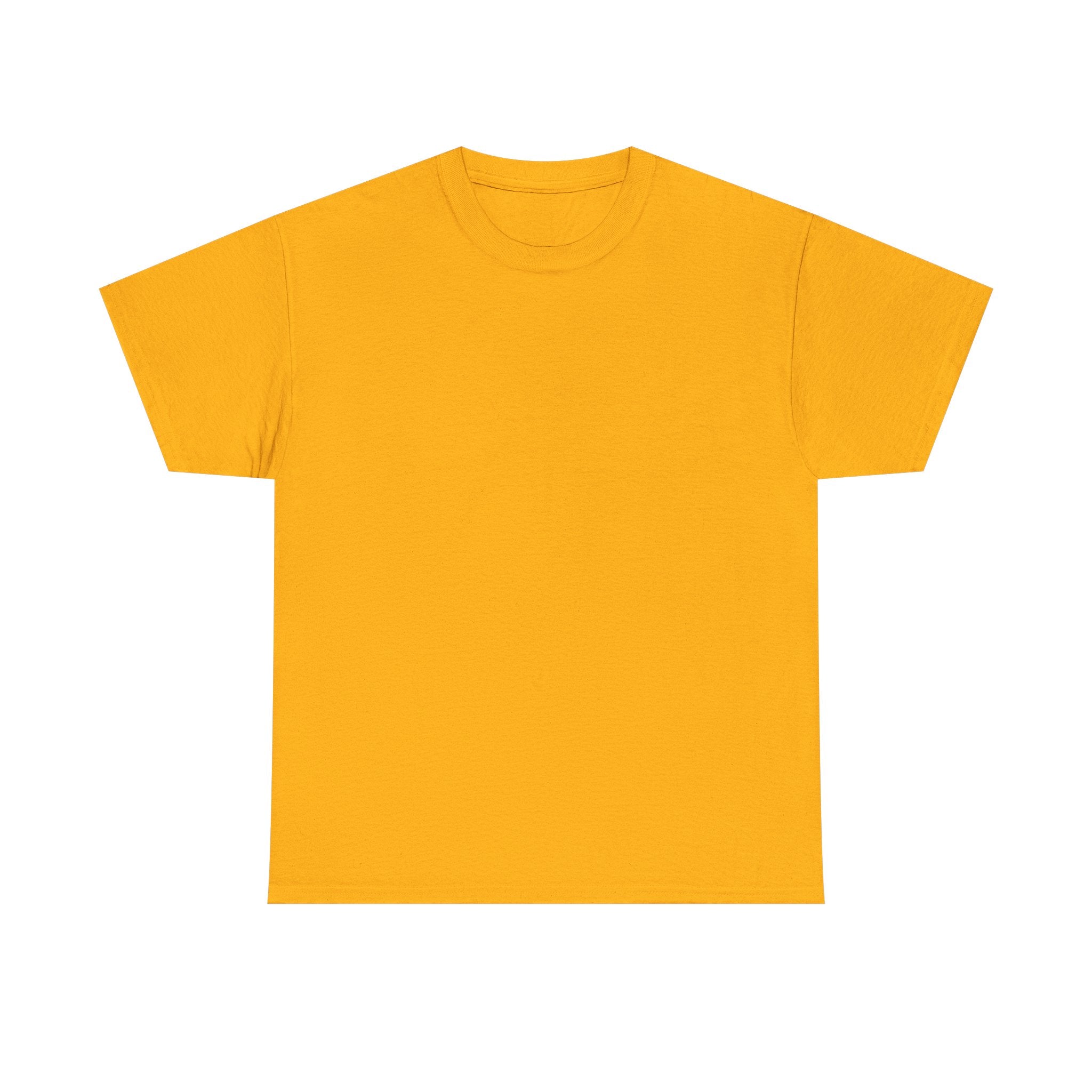 T-Shirt — "Too Old to Care Club: My Give a Damn is Broken" Vintage Beach Tee