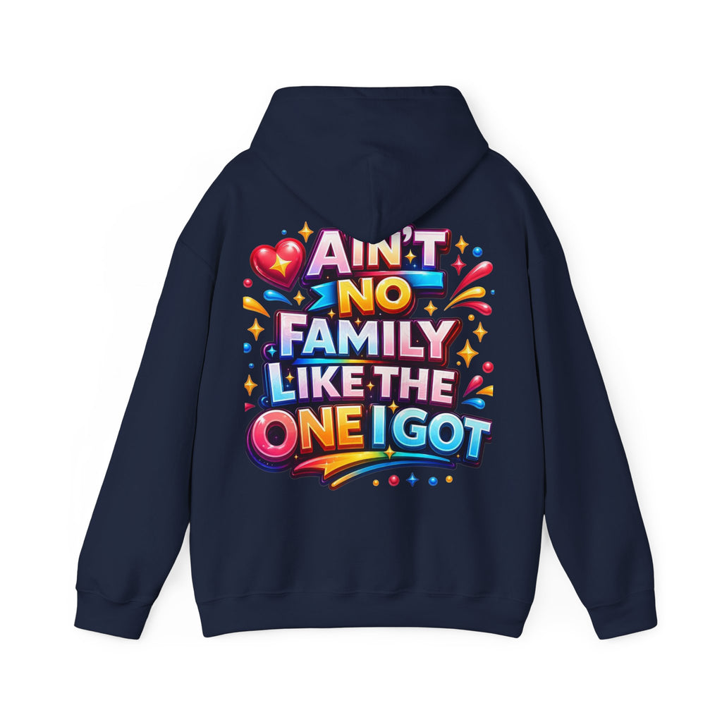 Ain't No Family Like The One I Got Hoodie