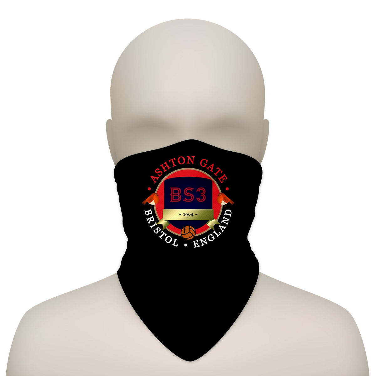 Bristol Aston Gate - Football Legends - Snood