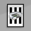 Newcastle Stadium Memorabilia Poster Print