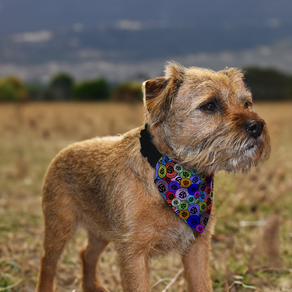 Northern Soul - Record Spindle - Dog Bandana - 4 Sizes