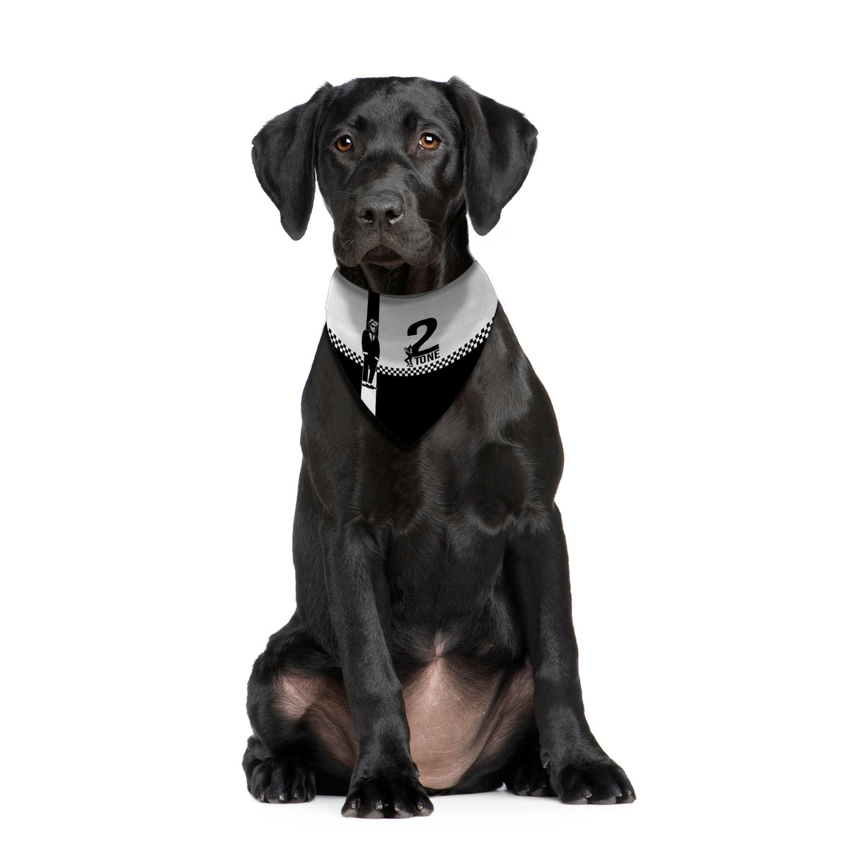 Ska 2 Tone - Dog Bandana - 4 Sizes
